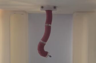 Self-Propelling Robotic Endoscope: A Breakthrough In Bowel Most cancers Screening