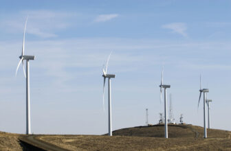 Renewable Power Overtakes Coal In US Energy Technology