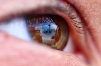 Scientists Develop Methodology To Reconstruct 3D Pictures From Eye Reflections