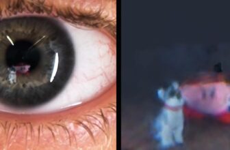 Researchers reconstruct 3D environments from eye reflections
