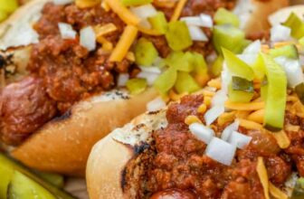 No Bean Fast Scorching Canine Chili