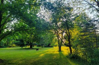 The Little Issues E-newsletter #369 – Life, laughter, and many nice meals!
