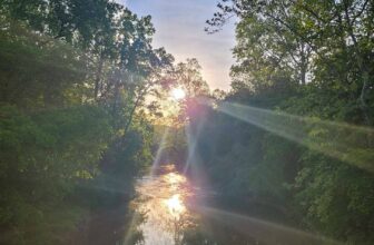 The Little Issues Publication #370 – Life, laughter, and many nice meals!