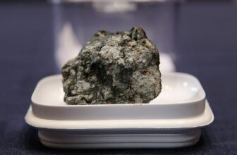 French Girl Hit by Obvious Meteorite Whereas on Her Terrace
