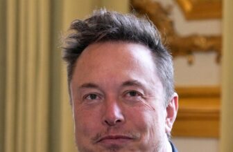 Elon Musk claims Twitter’s new login requirement is a ‘momentary’ response to information scrapers