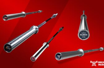 The 8 Finest Barbells To Purchase in 2023