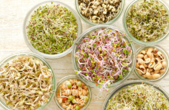 make sprouts at dwelling