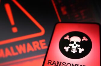 International ransomware assaults at an all-time excessive and the US is the first goal