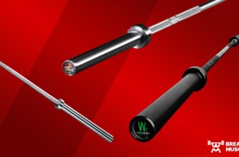 The 9 Greatest Price range Barbells, In accordance with Health Consultants (2023)