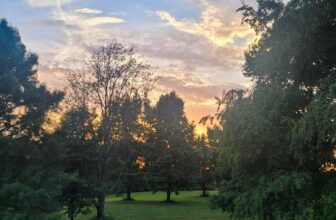 The Little Issues E-newsletter #381 – Life, laughter, and plenty of nice meals!