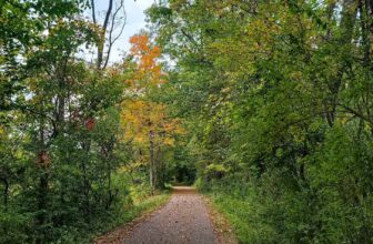 The Little Issues Publication #384 – Life, laughter, and plenty of nice meals!