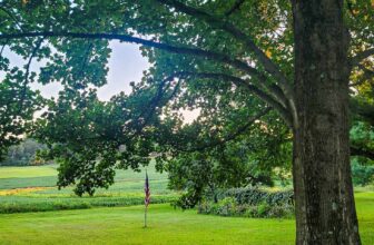 The Little Issues E-newsletter #380 – Life, laughter, and plenty of nice meals!