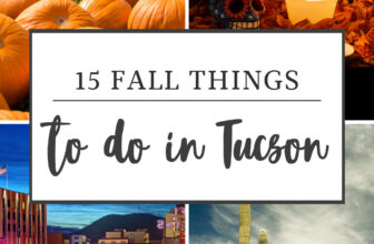 Fall Issues To Do In Tucson