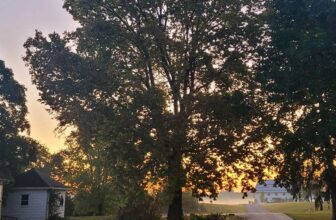 The Little Issues Publication #385 – Life, laughter, and many nice meals!