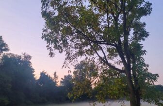 The Little Issues Publication #386 – Life, laughter, and many nice meals!
