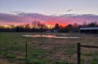 The Little Issues Publication #391 – Life, laughter, and plenty of nice meals!