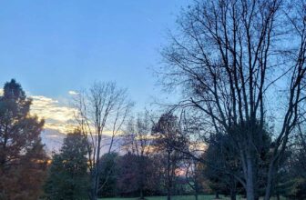 The Little Issues E-newsletter #392 – Life, laughter, and plenty of nice meals!