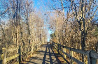 The Little Issues E-newsletter #395 – Life, laughter, and many nice meals!