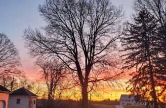 The Little Issues E-newsletter #396 – Life, laughter, and plenty of nice meals!