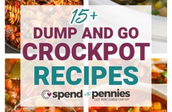 Dump and Go Gradual Cooker Recipes