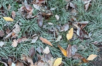 Methods to Beat the Winter Blues… — Estée Lalonde