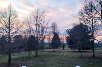 The Little Issues E-newsletter #405 – Life, laughter, and plenty of nice meals!