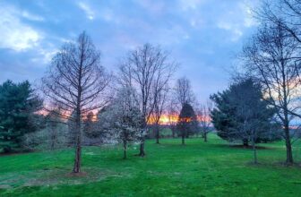 The Little Issues Publication #411 – Life, laughter, and plenty of nice meals!