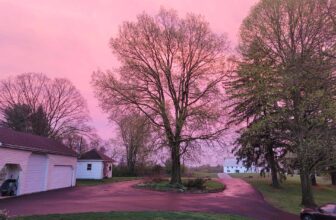 The Little Issues Publication #413 – Life, laughter, and many nice meals!