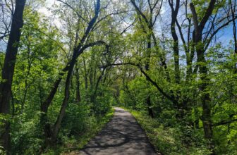 The Little Issues E-newsletter #414 – Life, laughter, and plenty of nice meals!