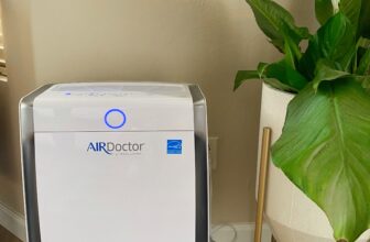 the very best air filter for house (Air Physician Evaluate)